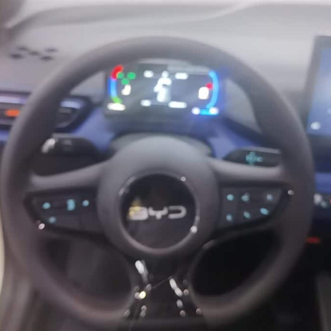 Seagull 2025 305km Vitality Edition Seagull 2025 305km Vitality Edition