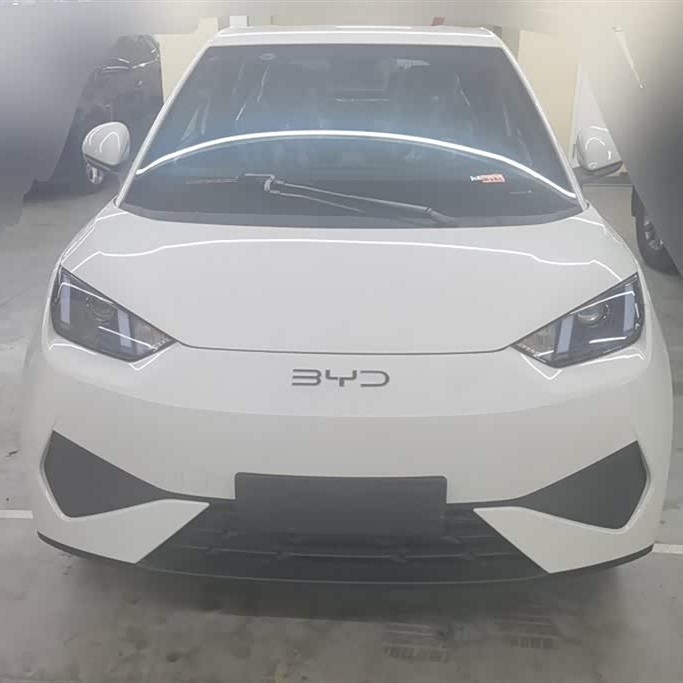 Seagull 2025 305km Vitality Edition Seagull 2025 305km Vitality Edition