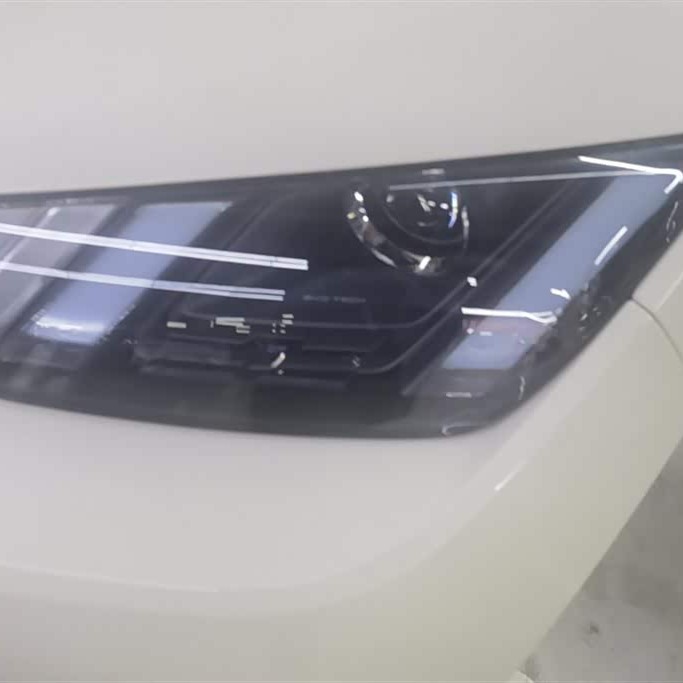 Seagull 2025 305km Vitality Edition Seagull 2025 305km Vitality Edition