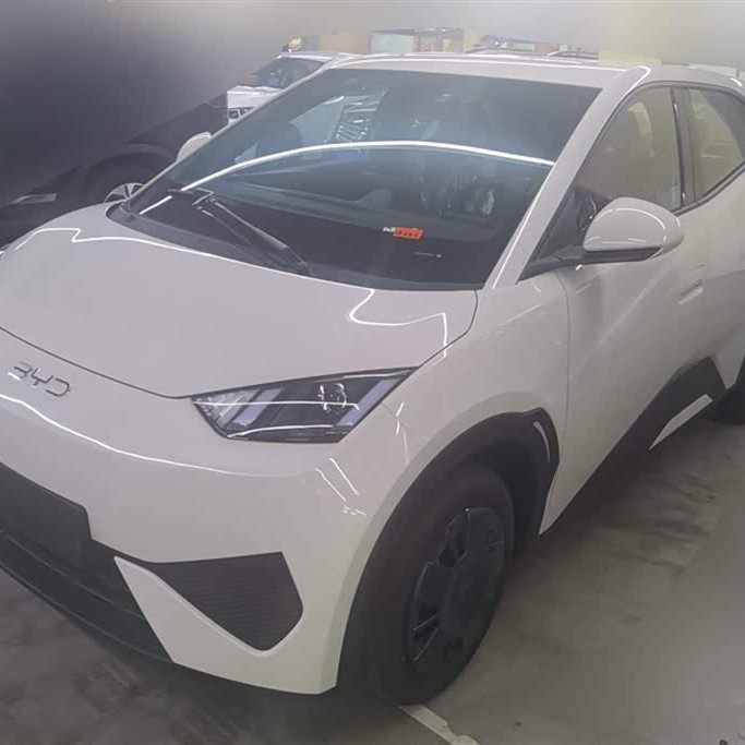 Seagull 2025 305km Vitality Edition