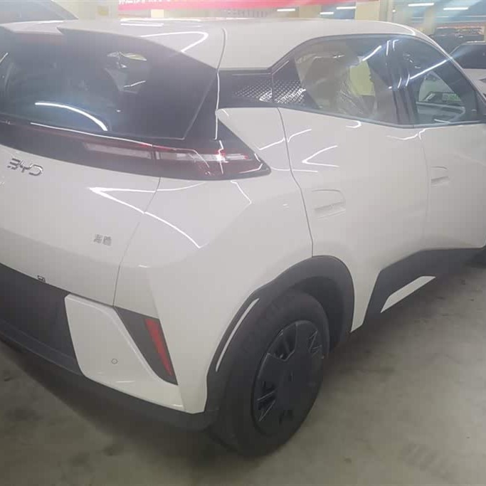 Seagull 2025 305km Vitality Edition Seagull 2025 305km Vitality Edition