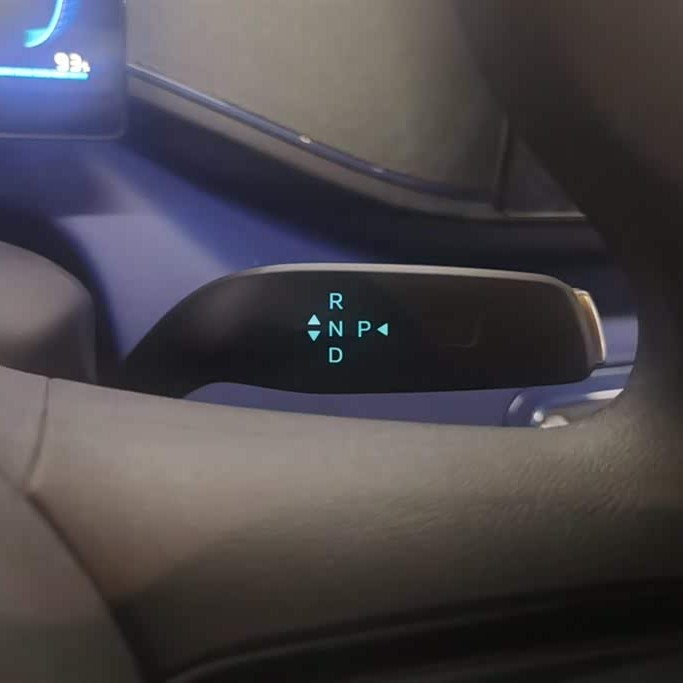 Seagull 2025 305km Vitality Edition Seagull 2025 305km Vitality Edition
