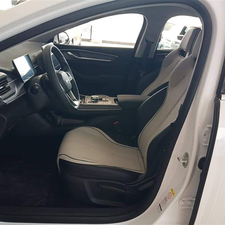 Destroyer 05 2024 Glory Edition DM-i 55KM Luxury Model Destroyer 05 2024 Glory Edition DM-i 55KM Luxury Model