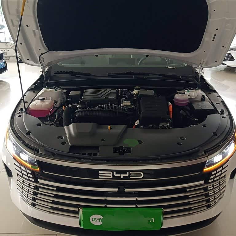 Destroyer 05 2024 Glory Edition DM-i 55KM Luxury Model Destroyer 05 2024 Glory Edition DM-i 55KM Luxury Model