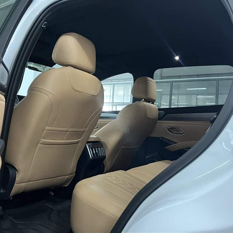 Song L DM-i 2024 model 160km surpassing model Song L DM-i 2024 model 160km surpassing model