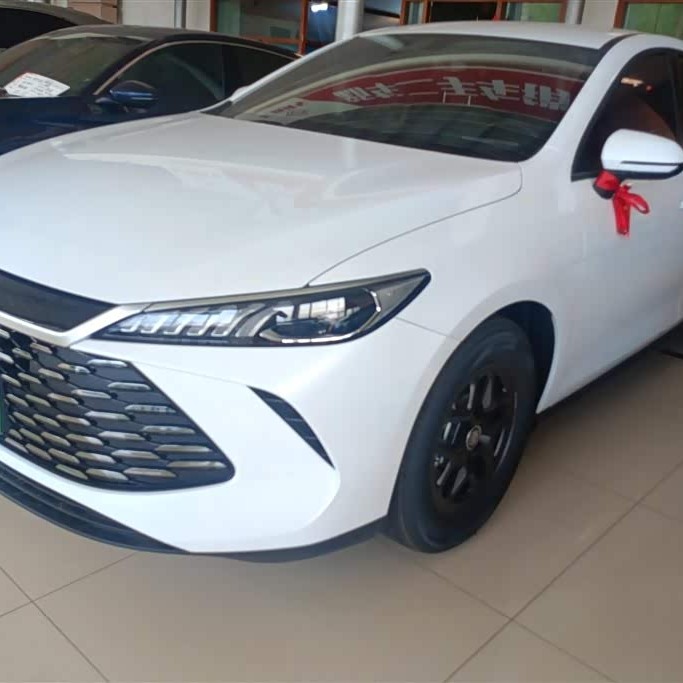 Qin PLUS 2025 DM-i Intelligent Driving Edition 55KM Leading Edition