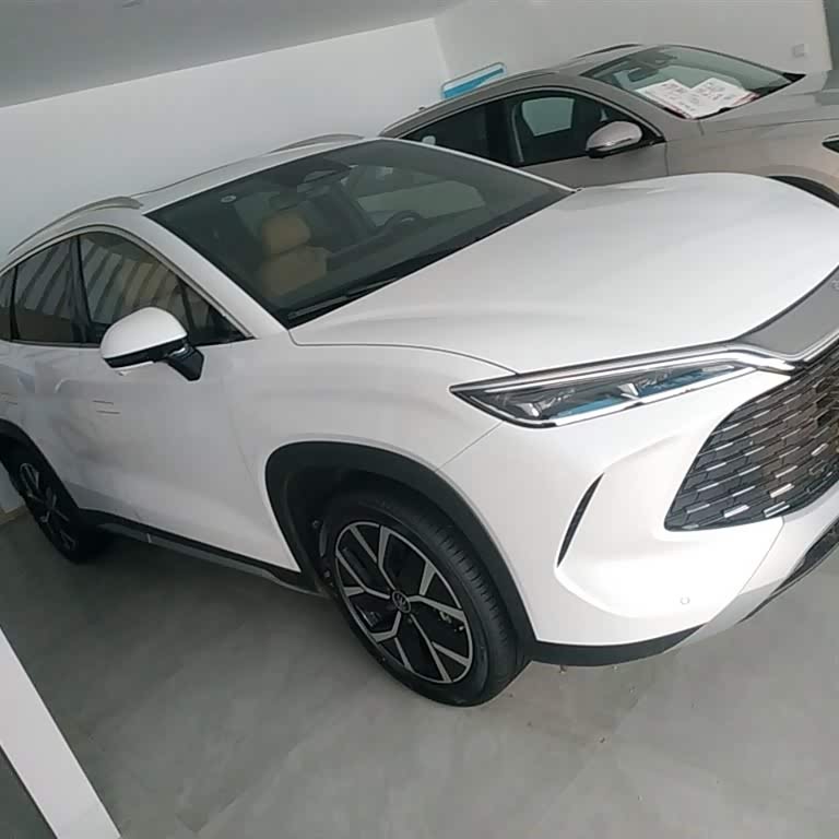 Song L DM-i 2024 model 160km surpassing model Song L DM-i 2024 model 160km surpassing model