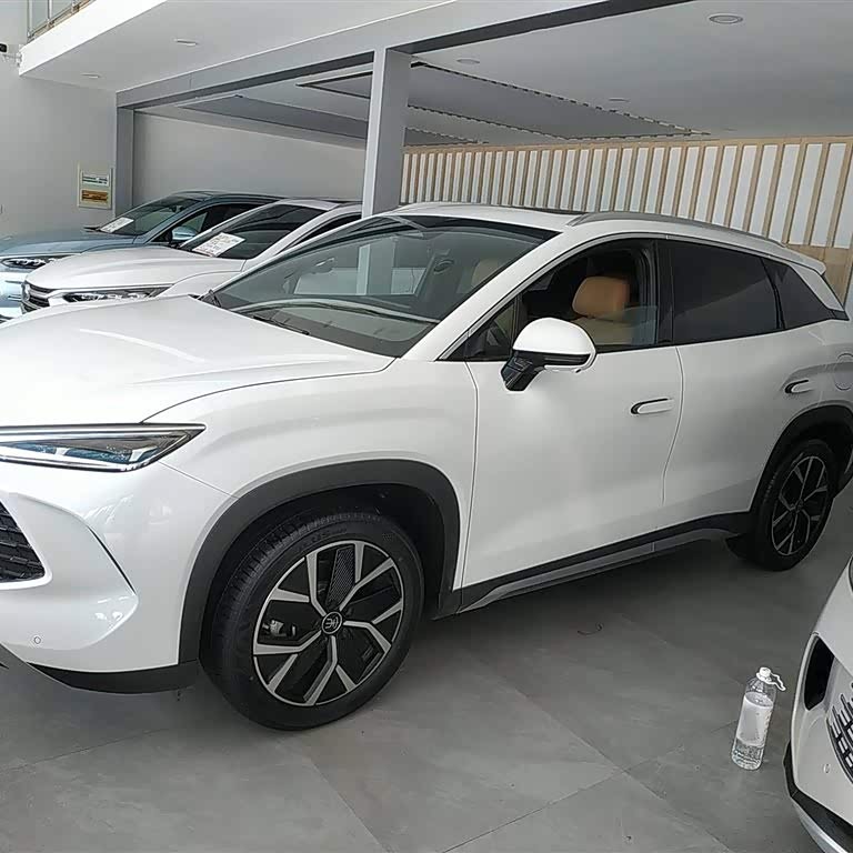 Song L DM-i 2024 model 160km surpassing model Song L DM-i 2024 model 160km surpassing model