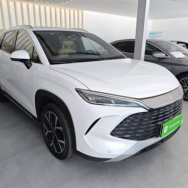 Song L DM-i 2024 model 160km surpassing model Song L DM-i 2024 model 160km surpassing model