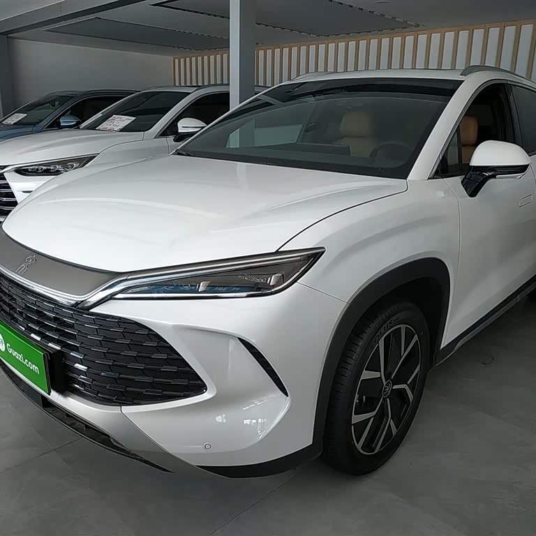 Song L DM-i 2024 model 160km surpassing model Song L DM-i 2024 model 160km surpassing model