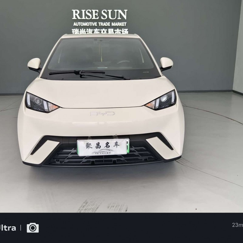 Seagull 2024 Glory Edition 305km Vitality Edition Seagull 2024 Glory Edition 305km Vitality Edition