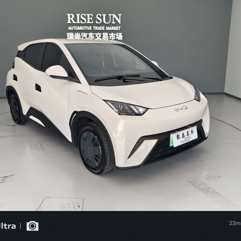 Seagull 2024 Glory Edition 305km Vitality Edition Seagull 2024 Glory Edition 305km Vitality Edition