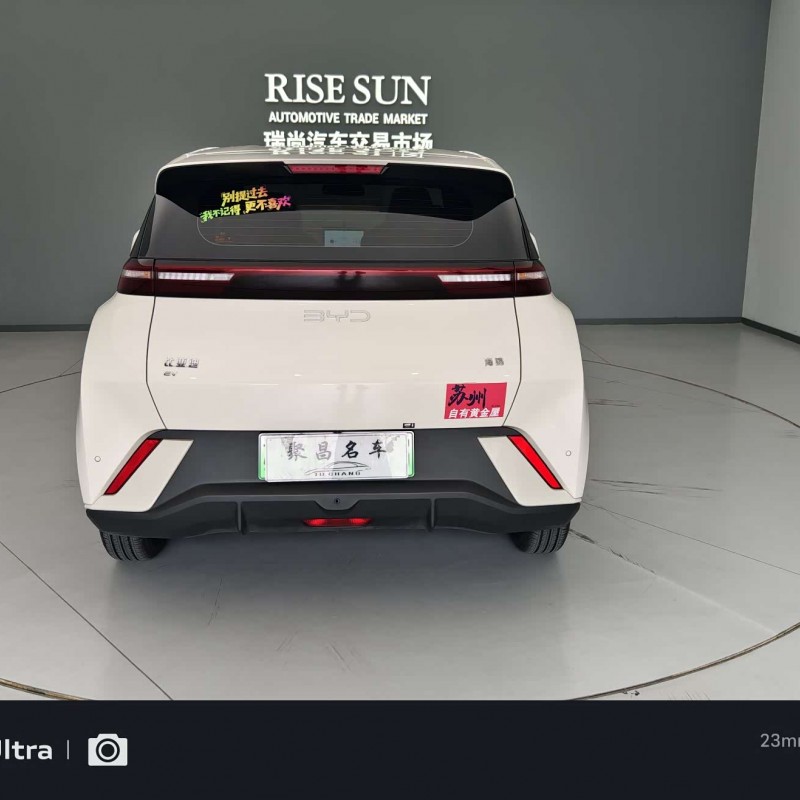 Seagull 2024 Glory Edition 305km Vitality Edition Seagull 2024 Glory Edition 305km Vitality Edition