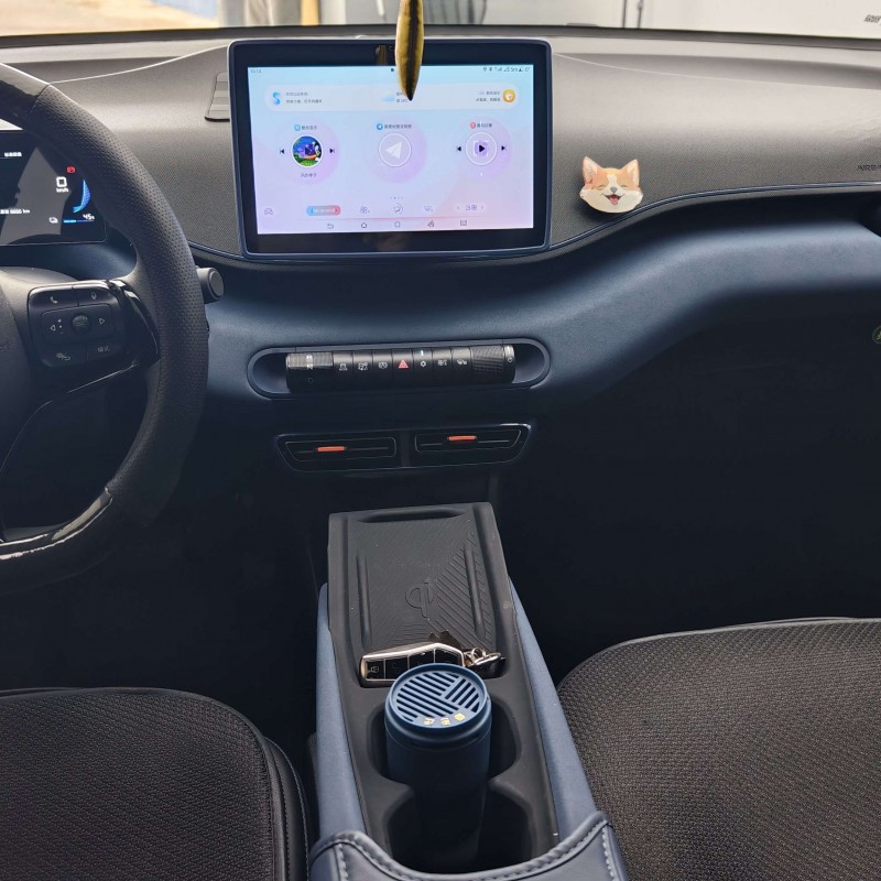 Seagull 2024 Glory Edition 305km Vitality Edition Seagull 2024 Glory Edition 305km Vitality Edition
