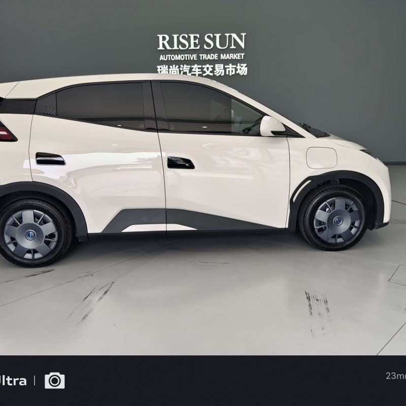 Seagull 2024 Glory Edition 305km Vitality Edition Seagull 2024 Glory Edition 305km Vitality Edition