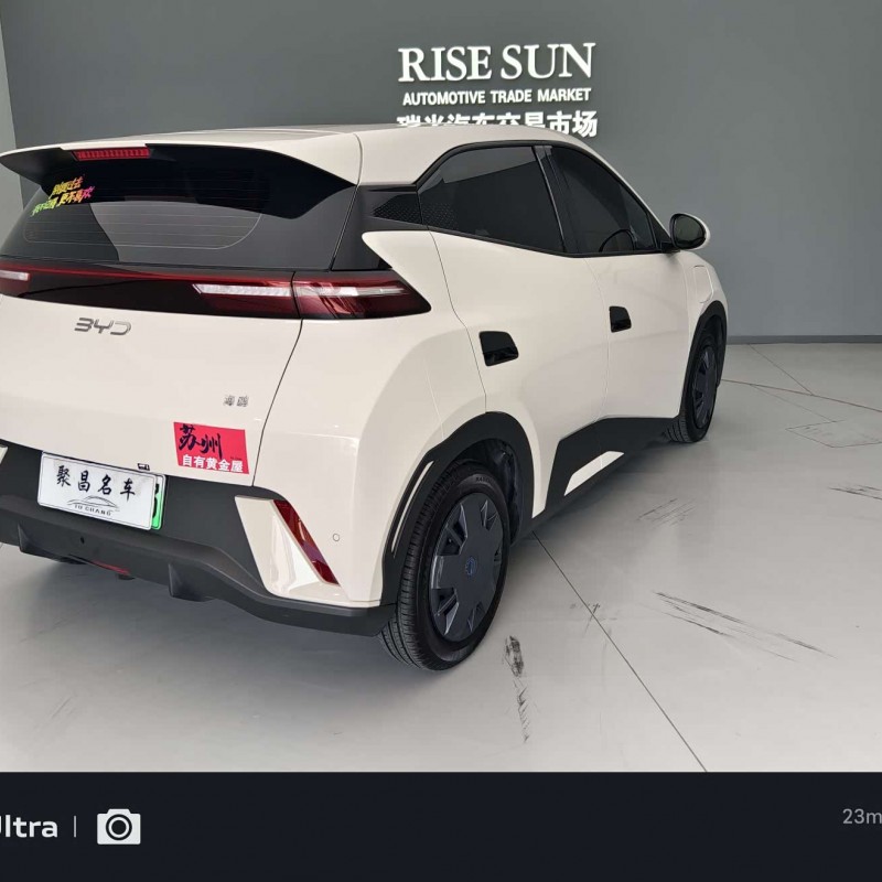 Seagull 2024 Glory Edition 305km Vitality Edition Seagull 2024 Glory Edition 305km Vitality Edition