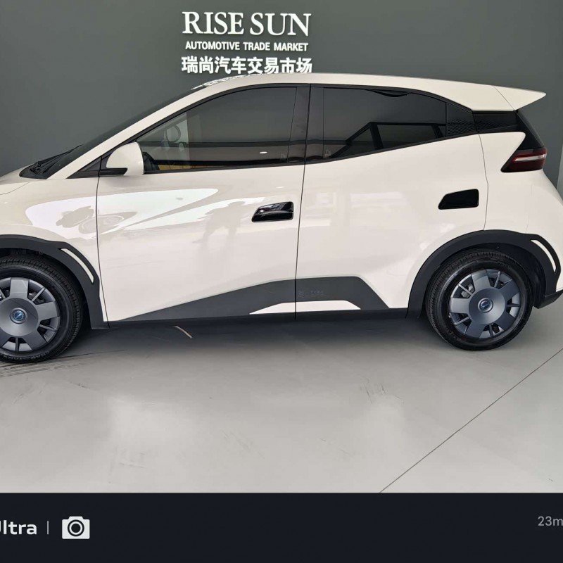 Seagull 2024 Glory Edition 305km Vitality Edition Seagull 2024 Glory Edition 305km Vitality Edition