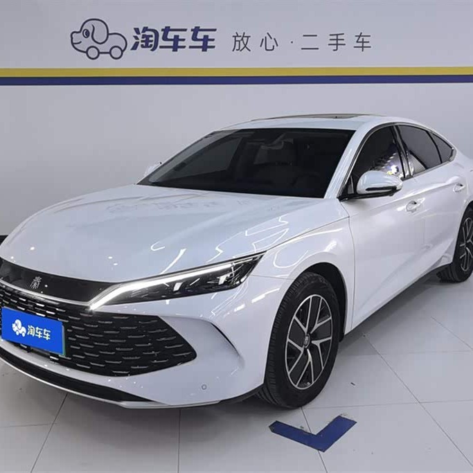 Qin L 2024 DM-i 120KM Beyond Edition Qin L 2024 DM-i 120KM Beyond Edition