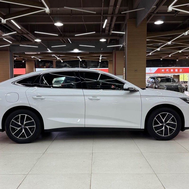Qin L 2024 DM-i 120KM Beyond Edition Qin L 2024 DM-i 120KM Beyond Edition