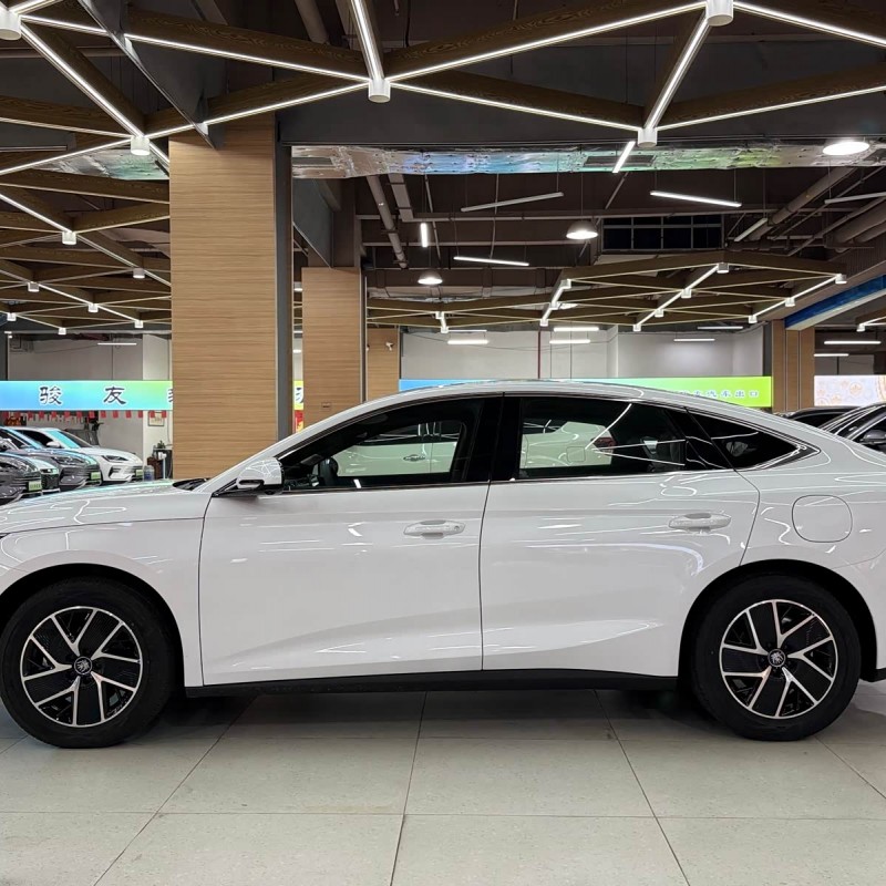 Qin L 2024 DM-i 120KM Beyond Edition Qin L 2024 DM-i 120KM Beyond Edition