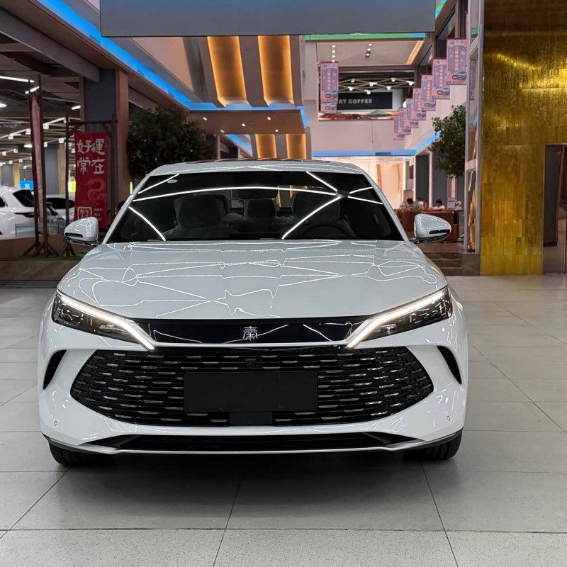 Qin L 2024 DM-i 120KM Beyond Edition Qin L 2024 DM-i 120KM Beyond Edition