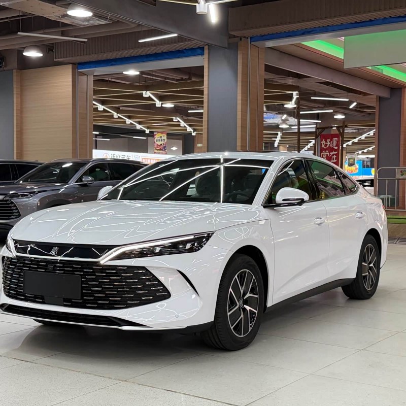 Qin L 2024 DM-i 120KM Beyond Edition