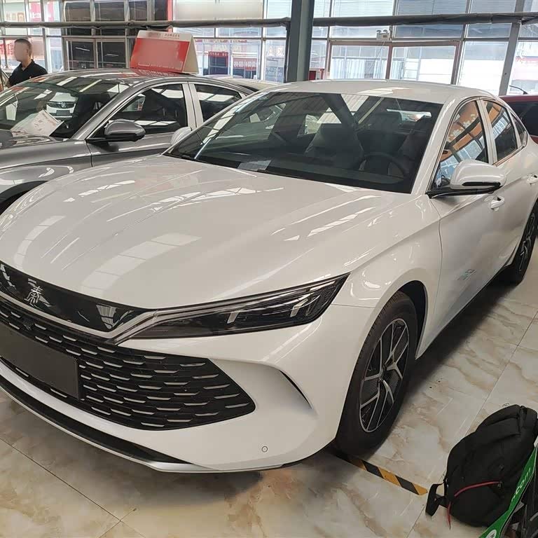 Qin L 2024 DM-i 80KM Beyond Edition