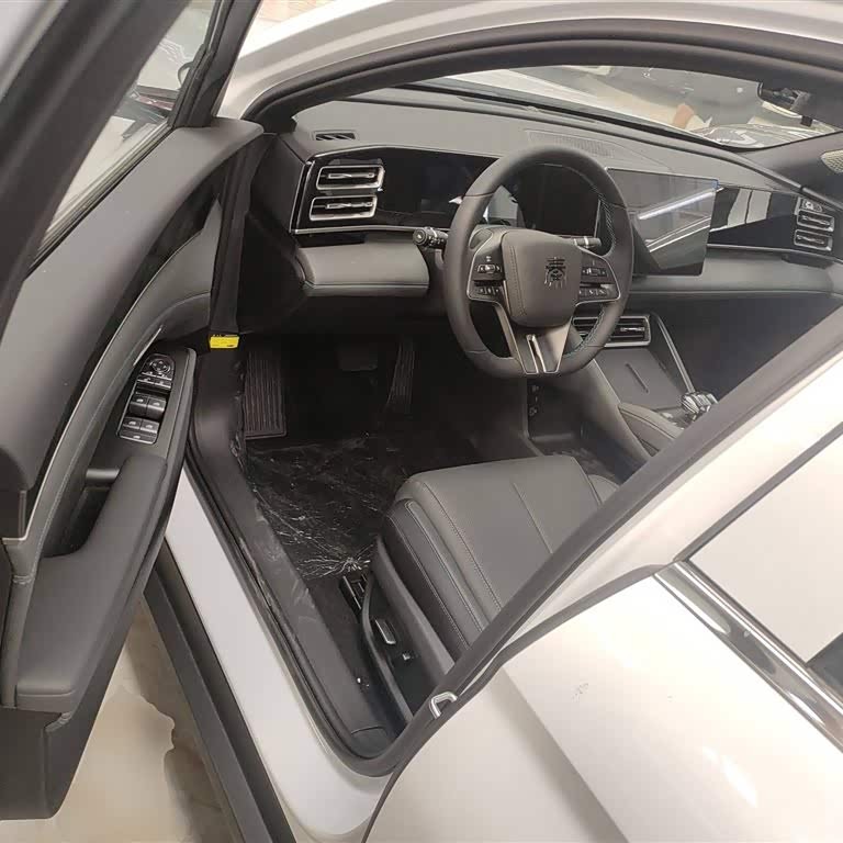 Qin L 2024 DM-i 80KM Beyond Edition Qin L 2024 DM-i 80KM Beyond Edition