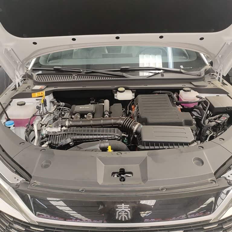 Qin L 2024 DM-i 80KM Beyond Edition Qin L 2024 DM-i 80KM Beyond Edition