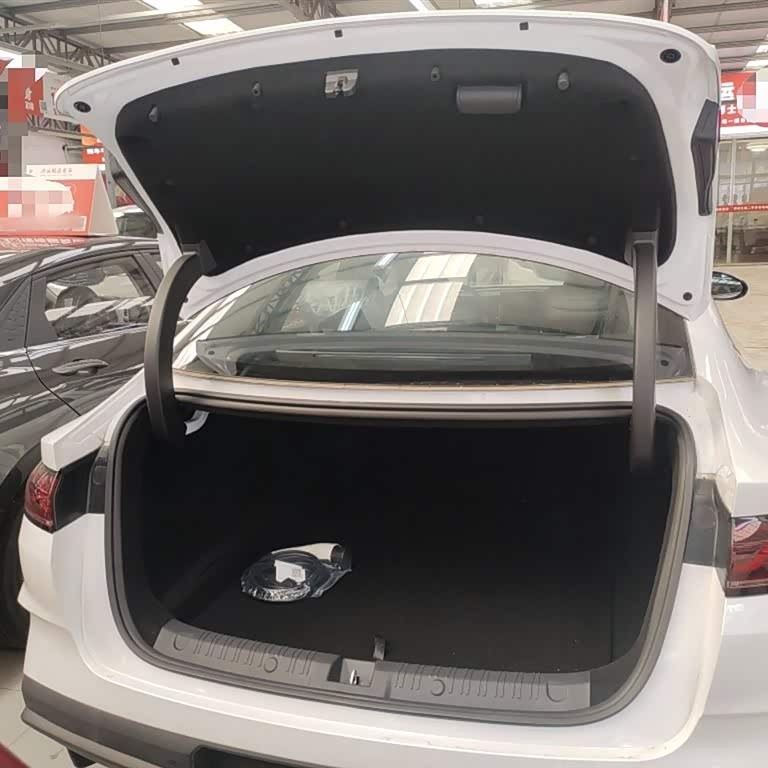 Qin L 2024 DM-i 80KM Beyond Edition Qin L 2024 DM-i 80KM Beyond Edition