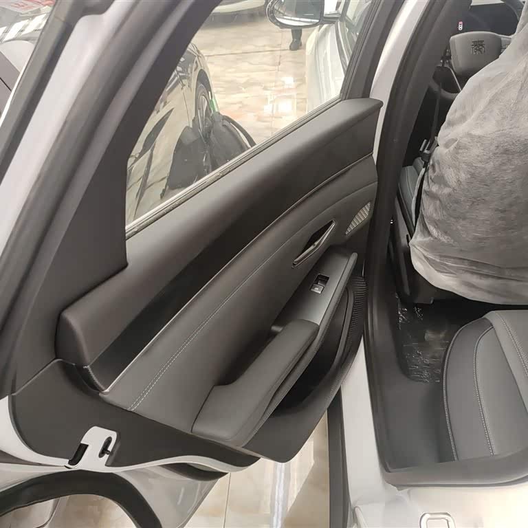 Qin L 2024 DM-i 80KM Beyond Edition Qin L 2024 DM-i 80KM Beyond Edition