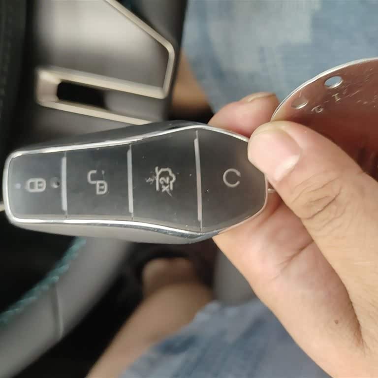 Qin L 2024 DM-i 80KM Beyond Edition Qin L 2024 DM-i 80KM Beyond Edition