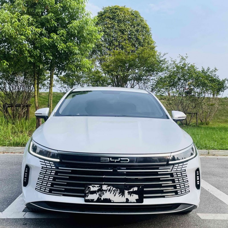 Destroyer 05 2024 Glory Edition DM-i 120KM Luxury Model Destroyer 05 2024 Glory Edition DM-i 120KM Luxury Model