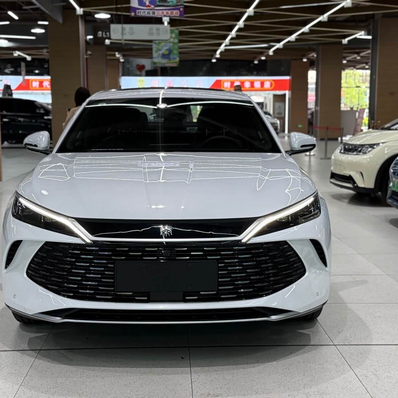 Qin L 2024 DM-i 120KM Beyond Edition Qin L 2024 DM-i 120KM Beyond Edition