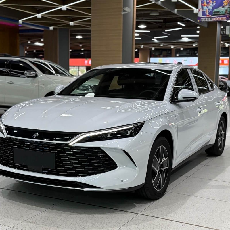 Qin L 2024 DM-i 120KM Beyond Edition