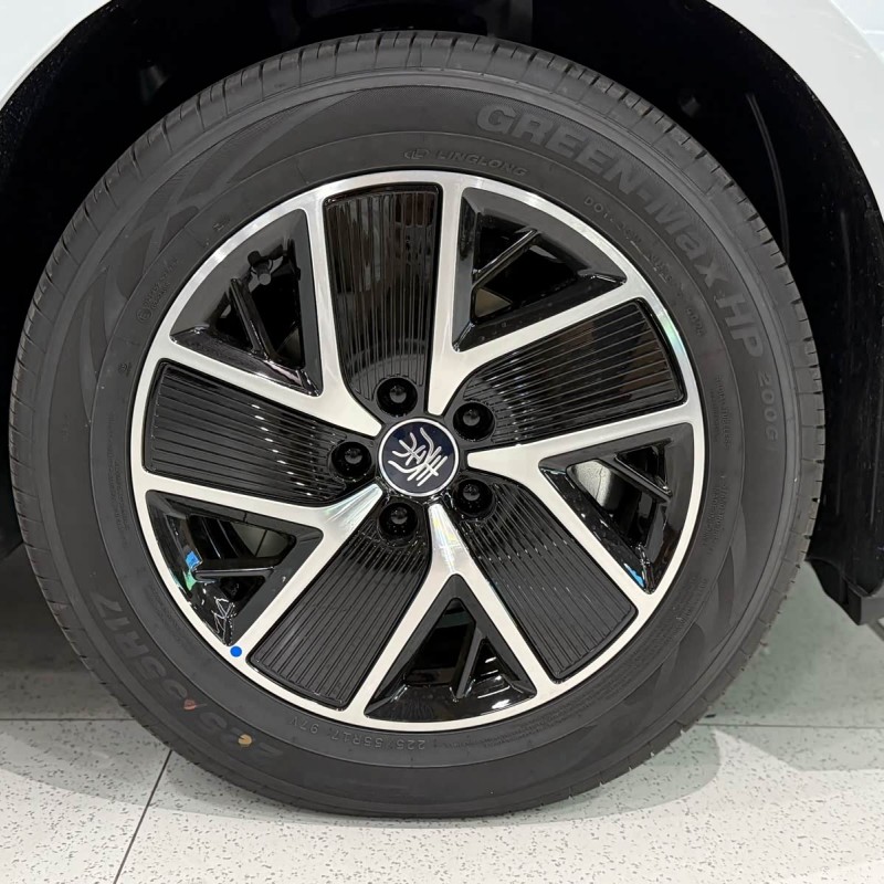 Qin L 2024 DM-i 120KM Beyond Edition Qin L 2024 DM-i 120KM Beyond Edition