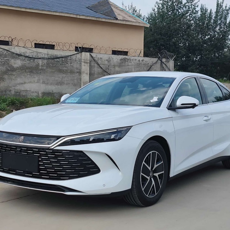 Qin L 2024 DM-i 80KM Beyond Edition