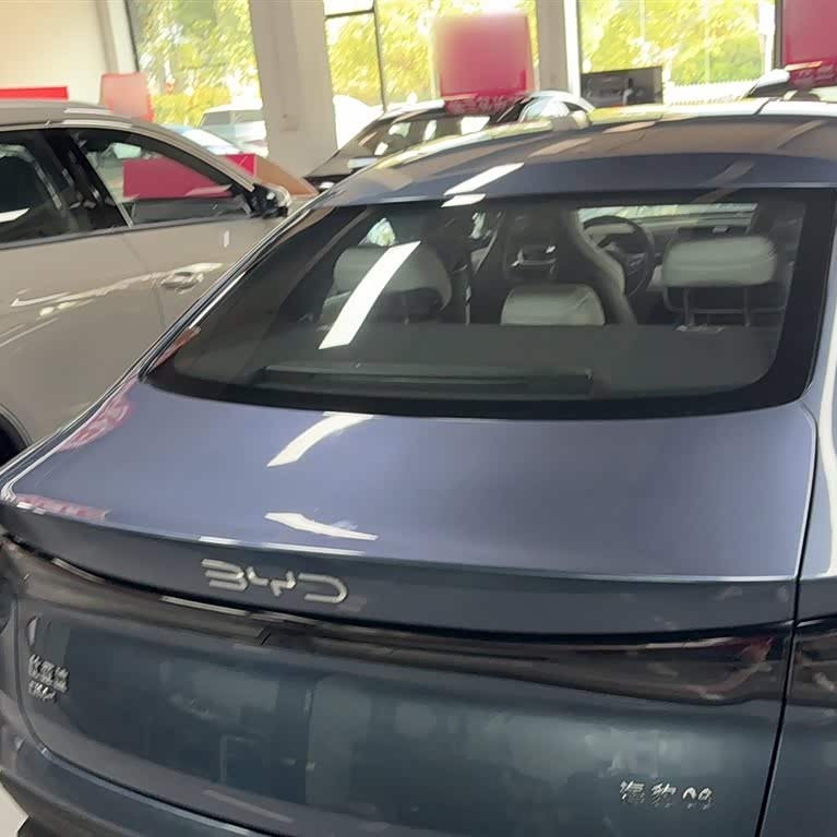 Haibao 06 New Energy 2024 DM-i 80KM Premium Edition Haibao 06 New Energy 2024 DM-i 80KM Premium Edition