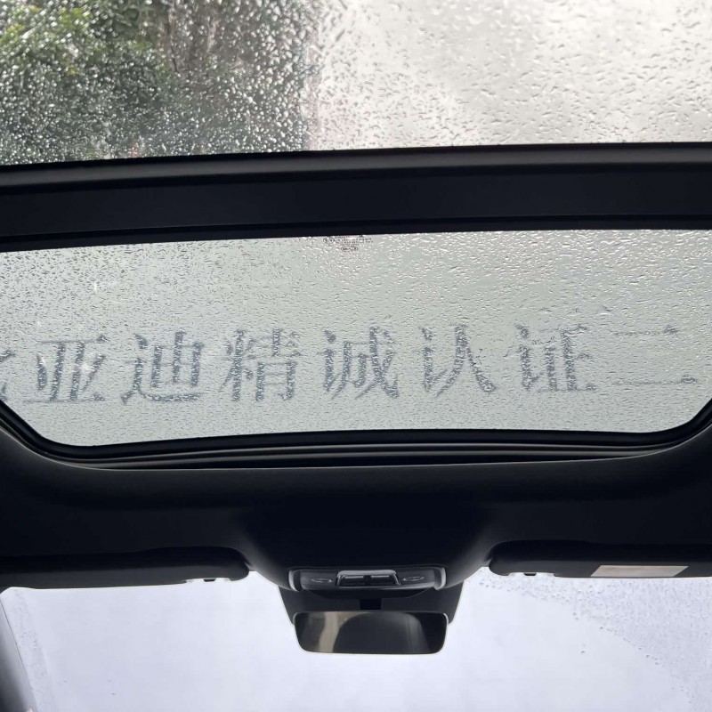 Qin L 2025 DM-i Intelligent Driving Edition 120KM Beyond Edition Qin L 2025 DM-i Intelligent Driving Edition 120KM Beyond Edition