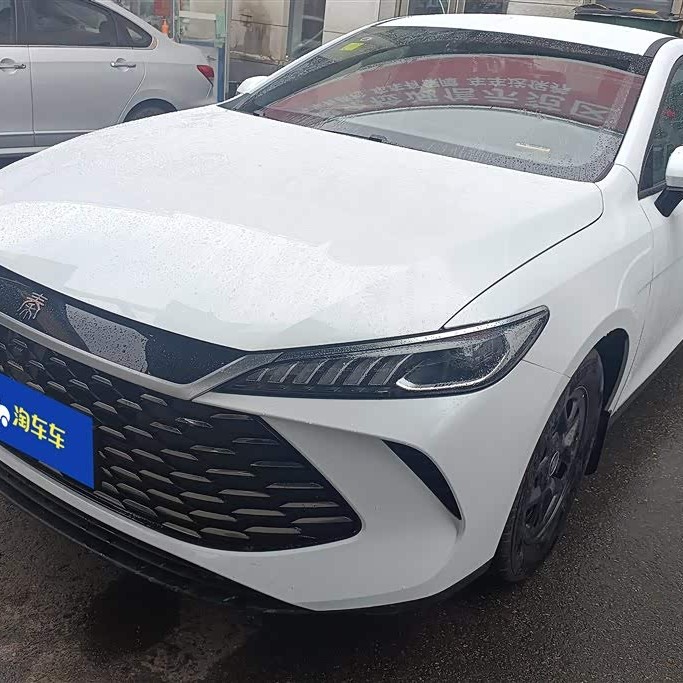 Qin PLUS 2025 DM-i Intelligent Driving Edition 55KM Leading Edition
