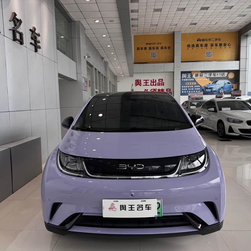 Dolphin 2024 Glory Edition 420km Fashion Edition Dolphin 2024 Glory Edition 420km Fashion Edition