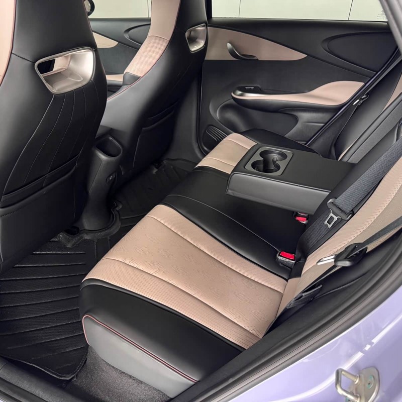 Dolphin 2024 Glory Edition 420km Fashion Edition Dolphin 2024 Glory Edition 420km Fashion Edition