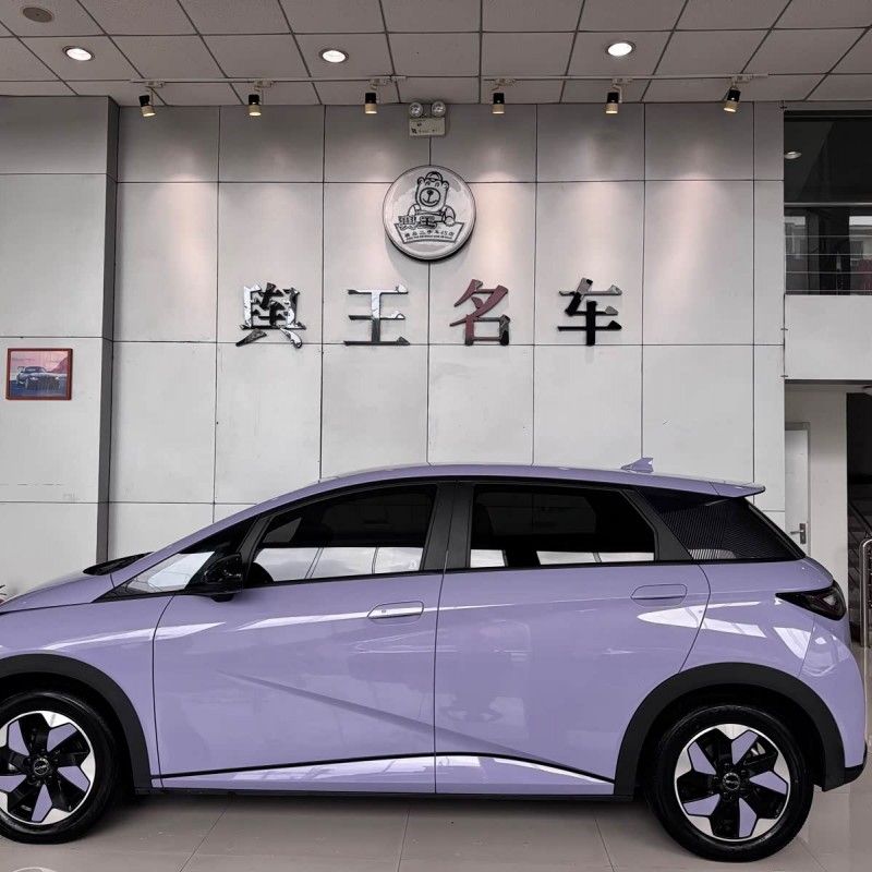 Dolphin 2024 Glory Edition 420km Fashion Edition Dolphin 2024 Glory Edition 420km Fashion Edition