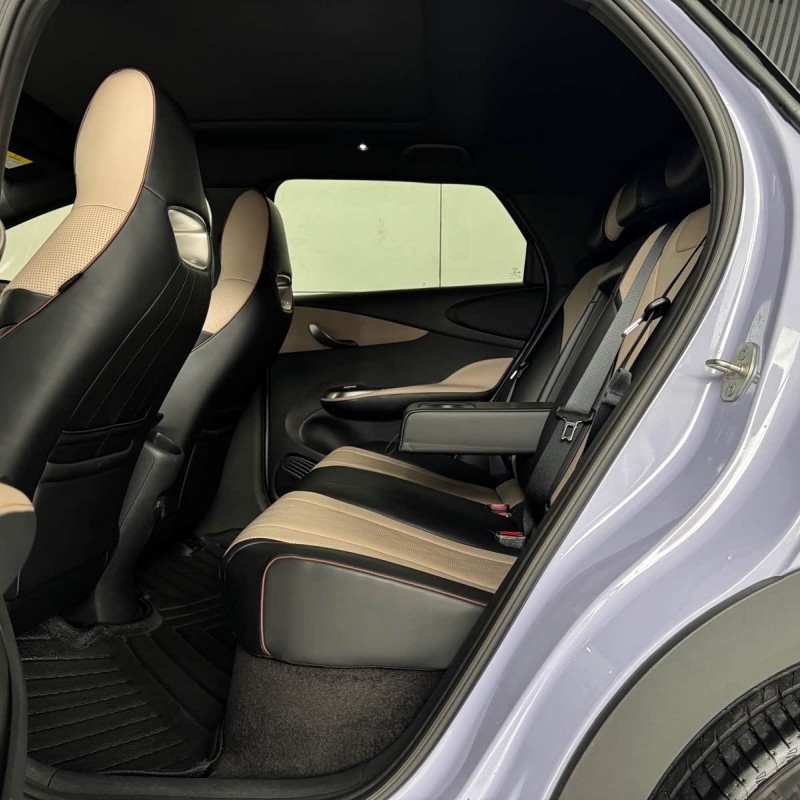 Dolphin 2024 Glory Edition 420km Fashion Edition Dolphin 2024 Glory Edition 420km Fashion Edition