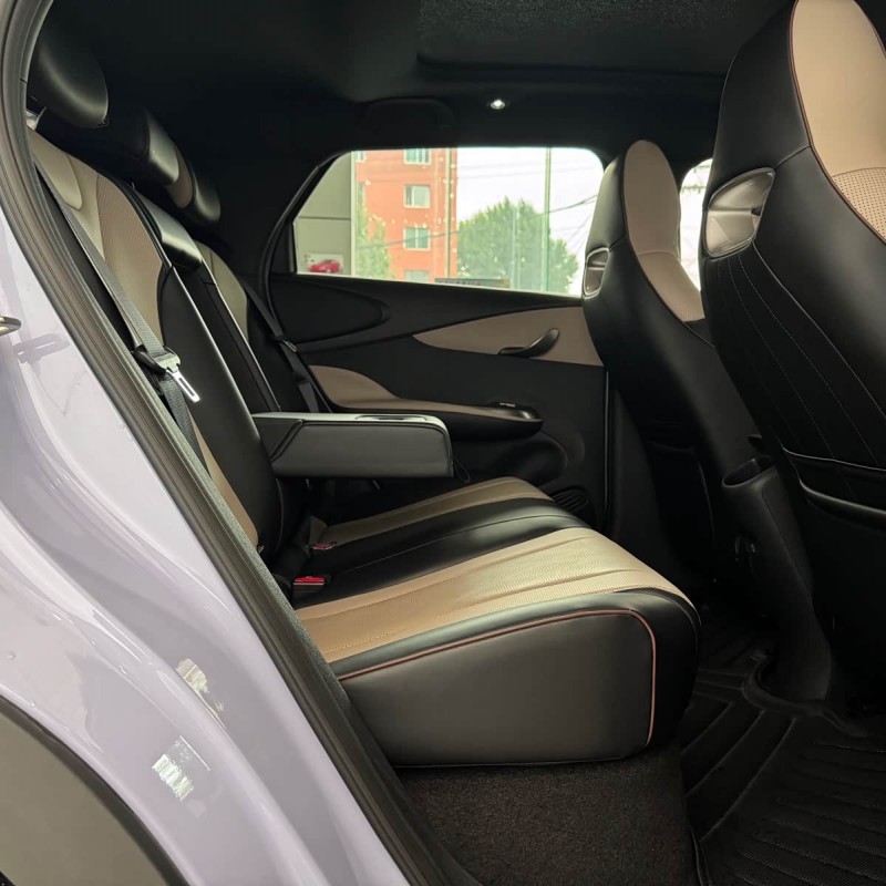 Dolphin 2024 Glory Edition 420km Fashion Edition Dolphin 2024 Glory Edition 420km Fashion Edition