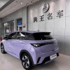 Dolphin 2024 Glory Edition 420km Fashion Edition Dolphin 2024 Glory Edition 420km Fashion Edition