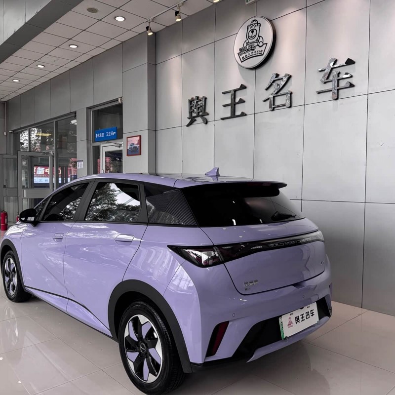 Dolphin 2024 Glory Edition 420km Fashion Edition Dolphin 2024 Glory Edition 420km Fashion Edition