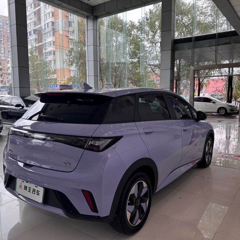 Dolphin 2024 Glory Edition 420km Fashion Edition Dolphin 2024 Glory Edition 420km Fashion Edition