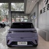 Dolphin 2024 Glory Edition 420km Fashion Edition Dolphin 2024 Glory Edition 420km Fashion Edition