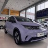 Dolphin 2024 Glory Edition 420km Fashion Edition Dolphin 2024 Glory Edition 420km Fashion Edition